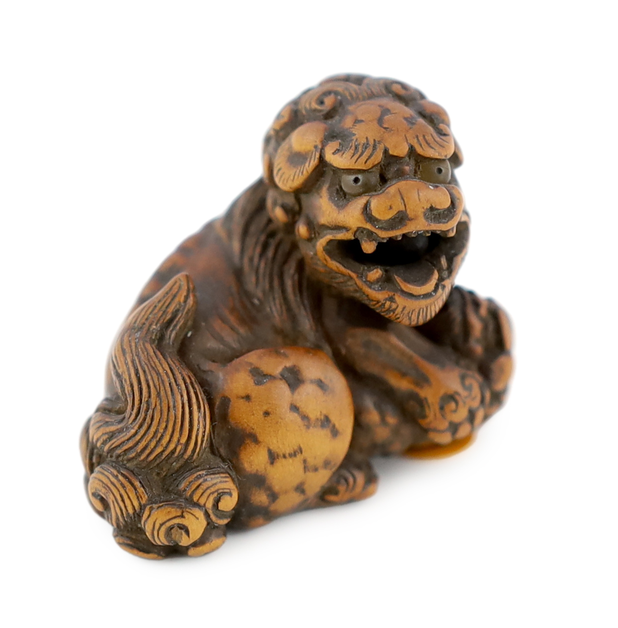 A Japanese carved wood netsuke of a recumbent Shi-Shi, signed Toyomasa?, late 18th century